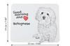 Bichon Bolognese, Bolo, Botoli, Bottolo - tappetino per mouse con stampa, tappetino per mouse personalizzato a tema cane, gadget unico per un impiegato di Art-Dog