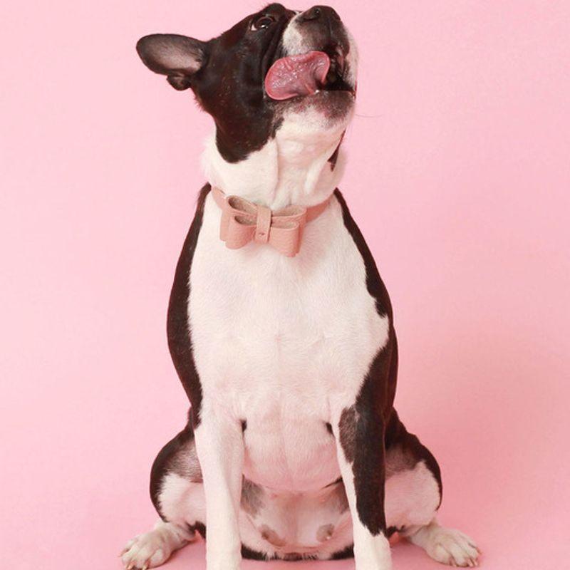 MAISON DE MIU Soft Ribbon Collar M_Rose Pink