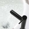 Silver/Black Single Cold Faucet Stainless Steel Sink Water Tap  Bathroom Counter