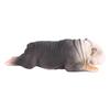 High Simulation English Lying Bulldog Model Sleepy Animal Toy for Children Gift (#873)