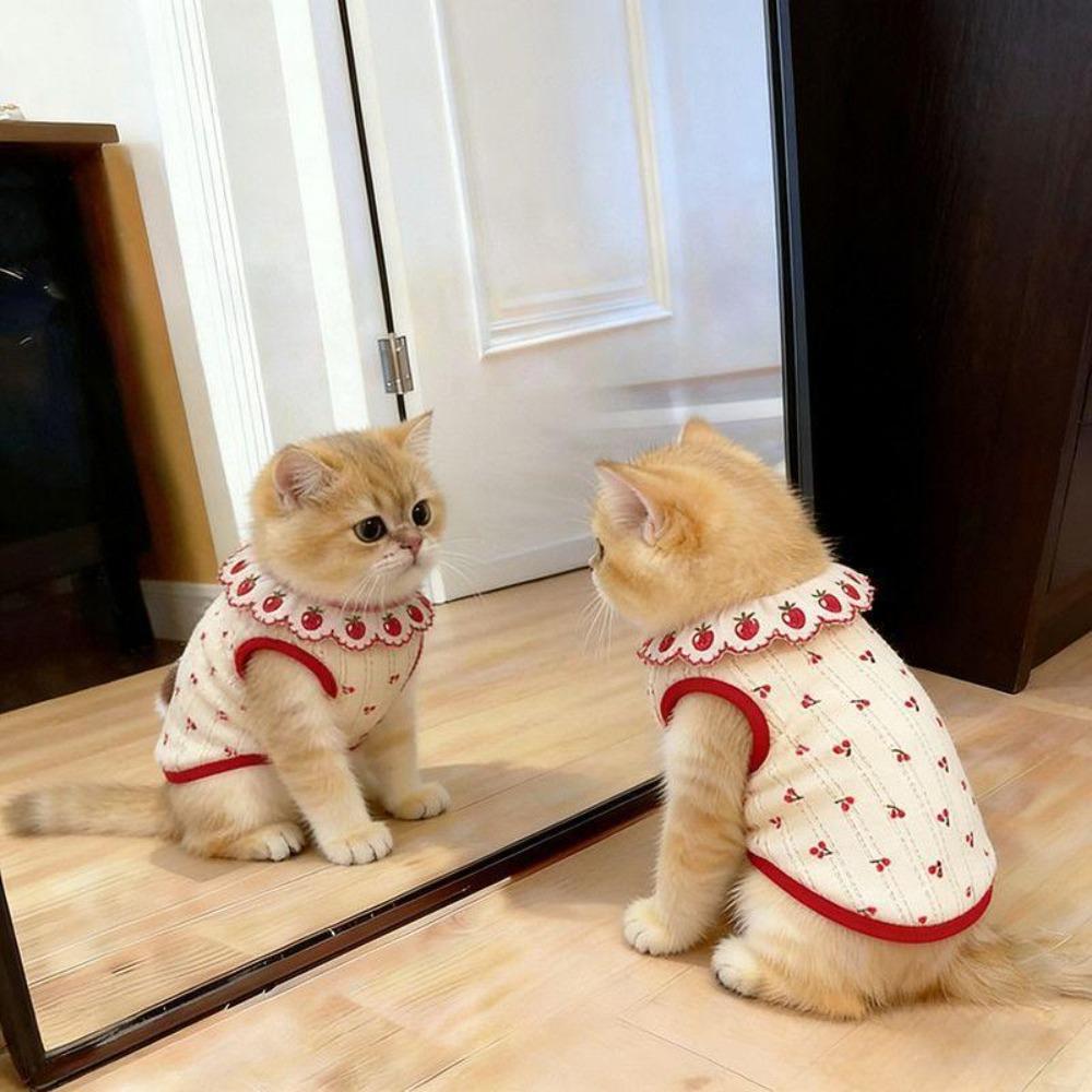 Thin Cat Pullover Cherry Pattern Pet Shirt Cute Cat Flower Edge Vest Pet Clothing