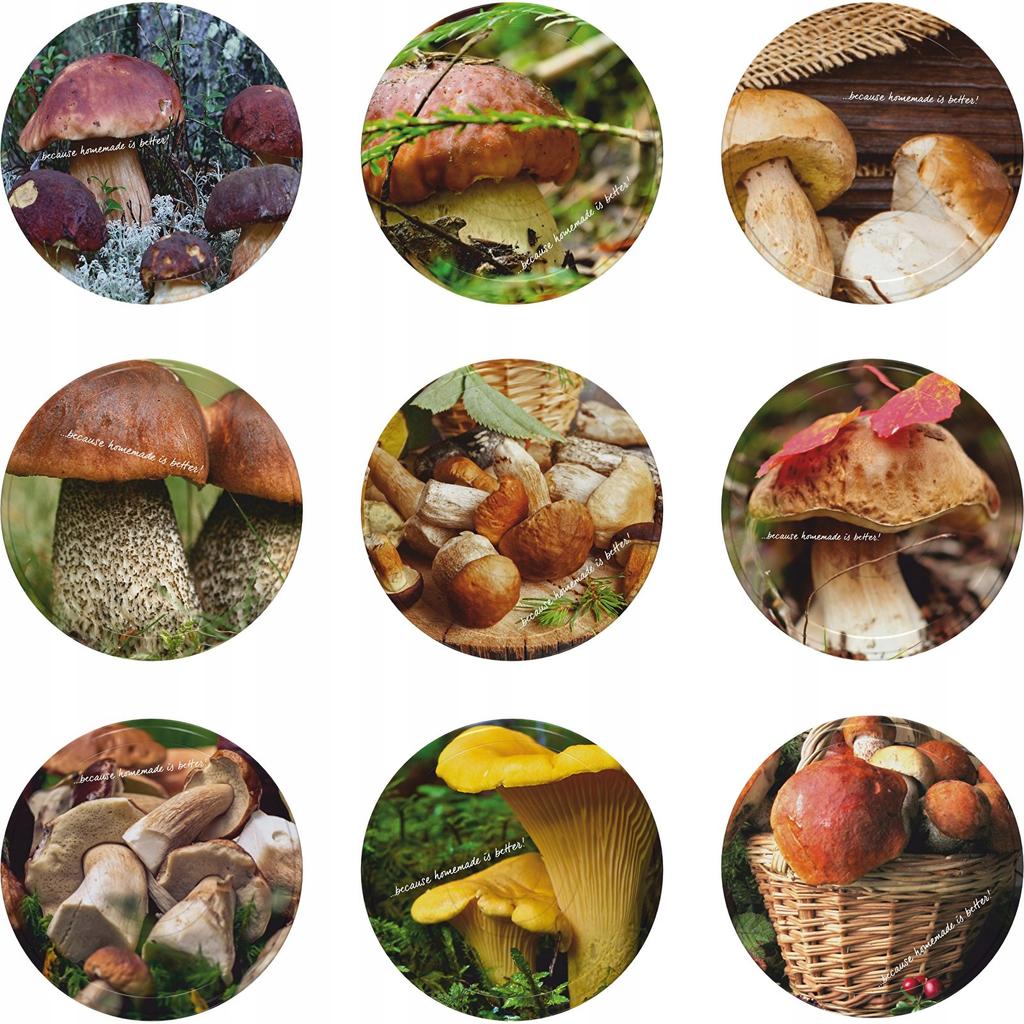 Jar lids fi66 mushroom pattern 10 pcs