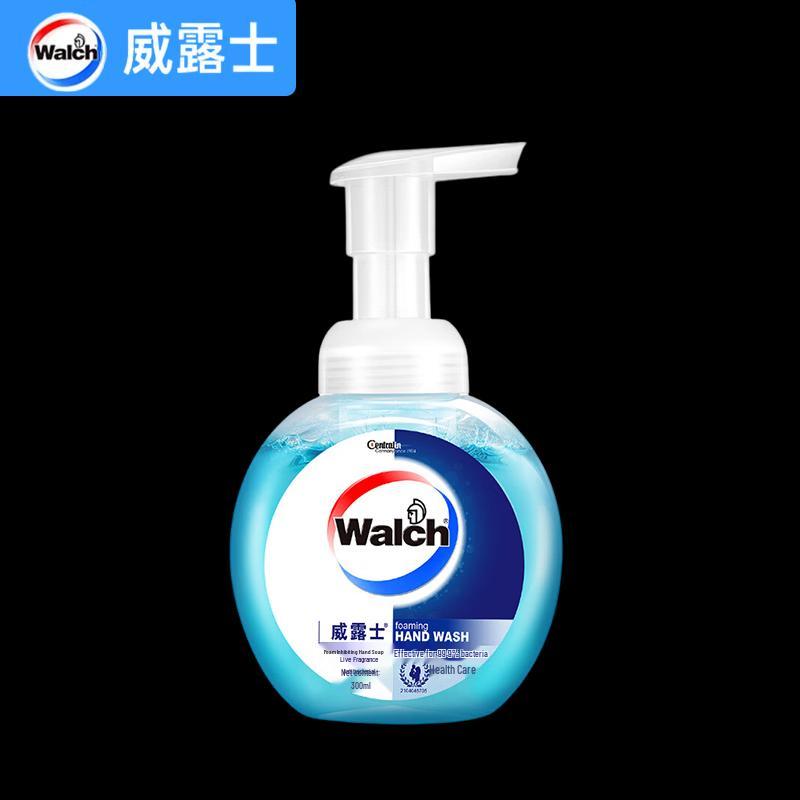 Walch Healthy Foam Hand Soap