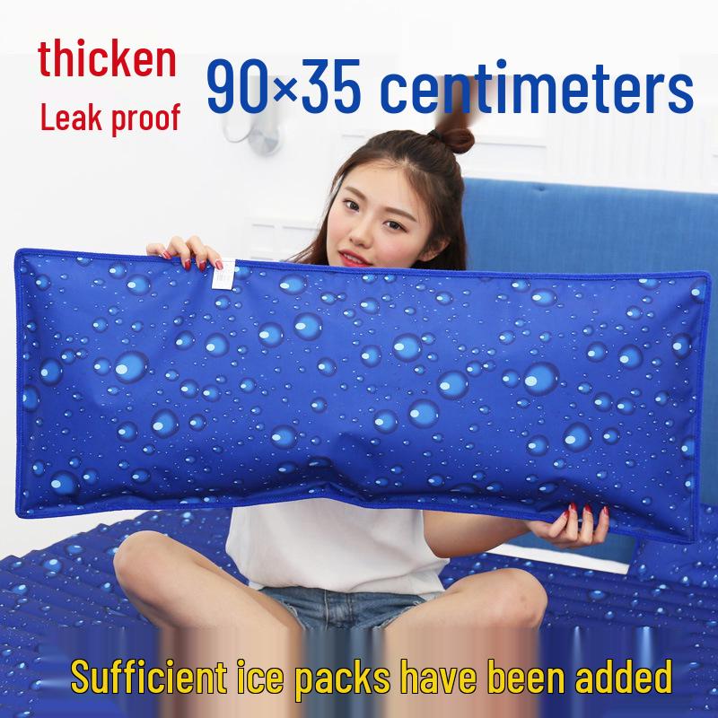 Large Water-Filled Cooling Ice Pillow for Adults & Students