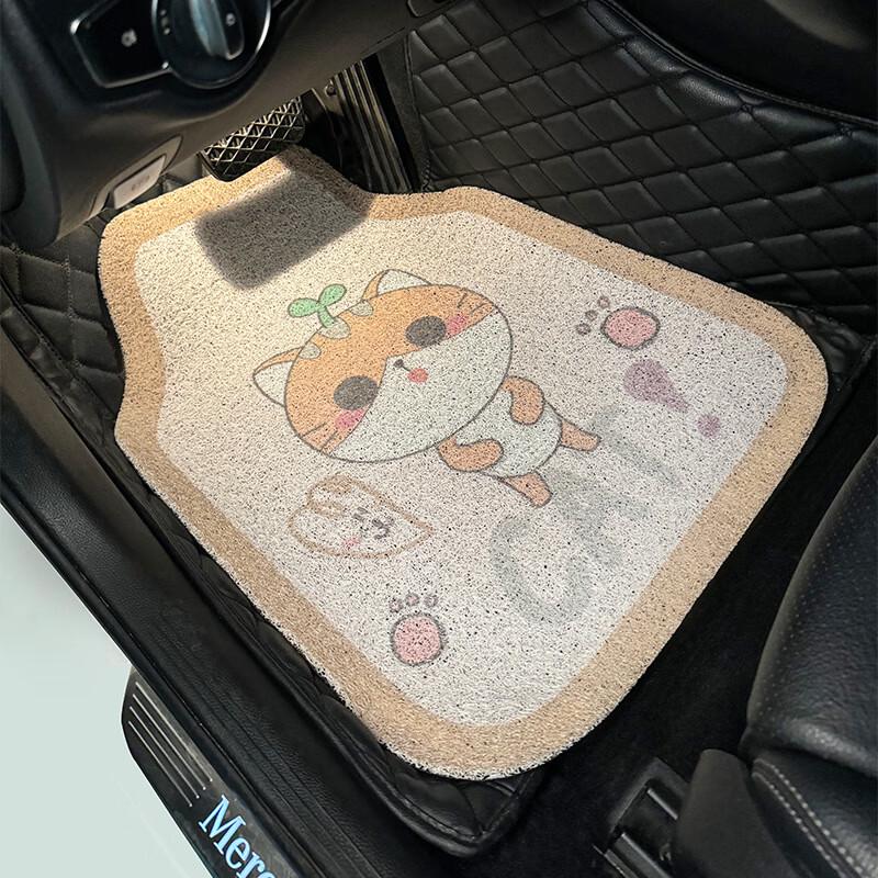 Cartoon Design Universal Car Floor Mats