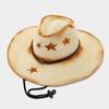 Western Cowboy Straw Hat Ethnic Style Outdoor Sun Protection Pentagram Panama Hat