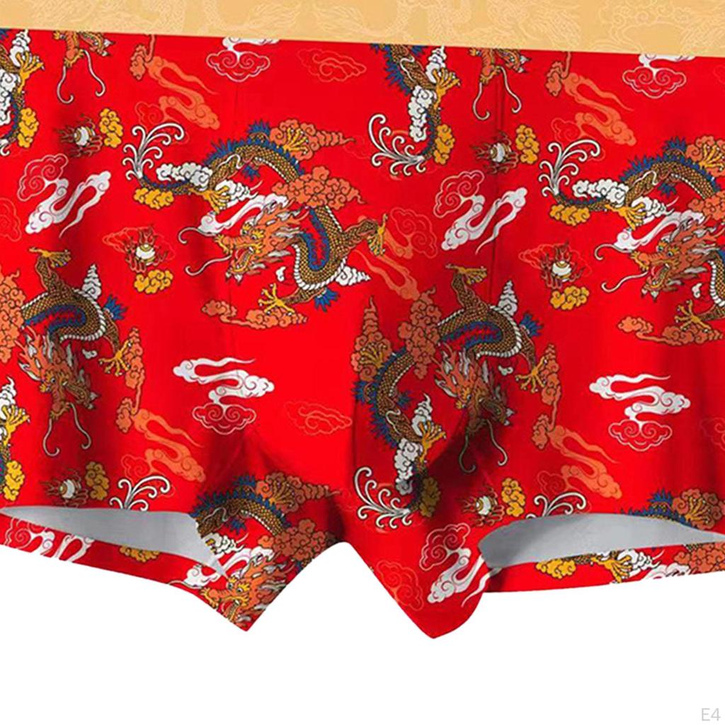 Dragon Printed Trunks Briefs Mens Underwear Beachwear Nightwear 2XL Shorts