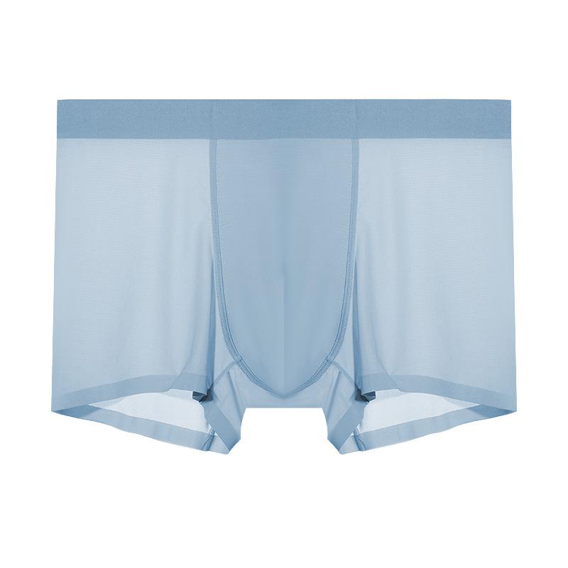 Men's Summer Casual Ice Silk One Piece Seamless Antibacterial Underwear