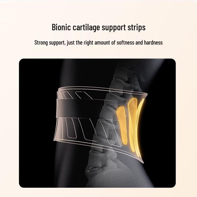 SKG N3 Lumbar Support and Massage Belt CN plug (adapter included)