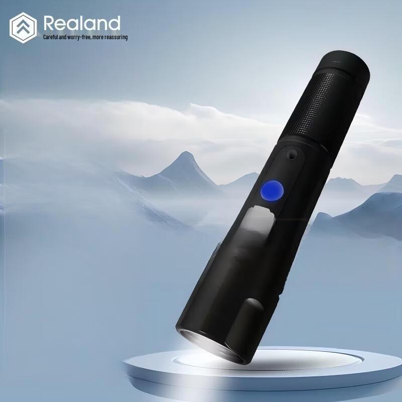 Realand Electronic Patrol System