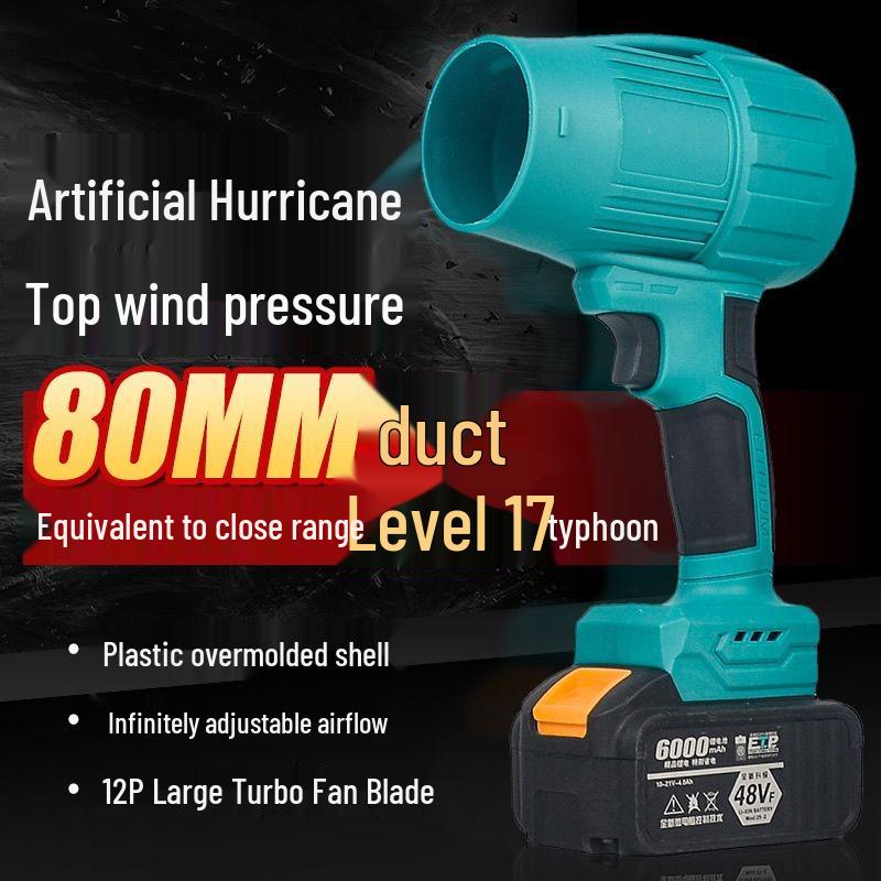 High-Power Brushless Ducted Turbo Fan Hair Dryer with Lithium Battery