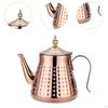 Gooseneck Teapot Stainless Steel Kettle for Induction Loose Leaf Tea