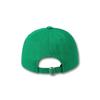 DOLPHIN WAVE APPAREL Dolphin Lettering Ball Cap_123824GN