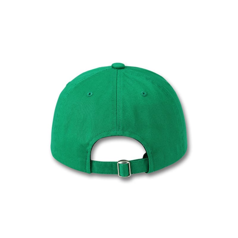 DOLPHIN WAVE APPAREL Dolphin Lettering Ball Cap_123824GN