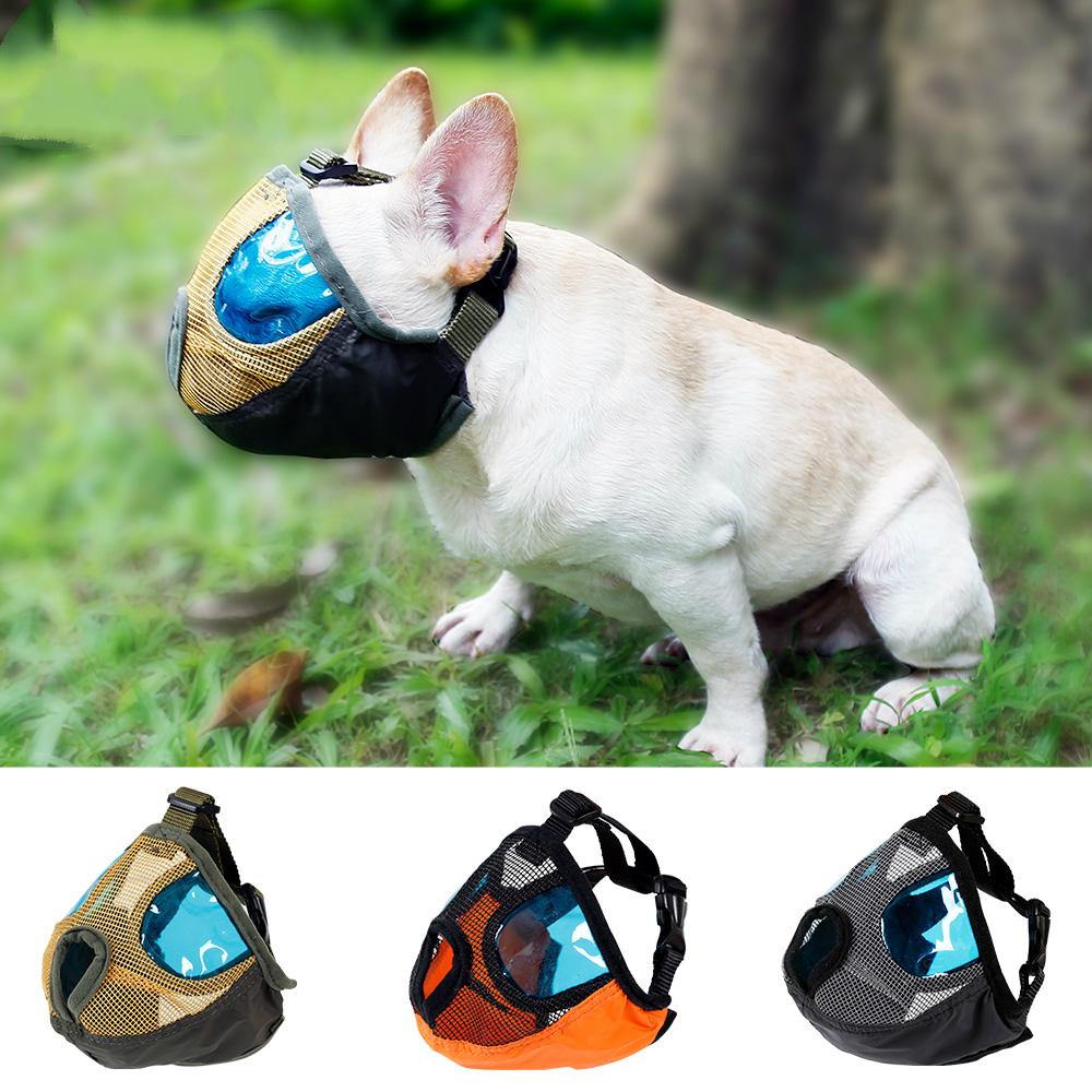 flat nose dog muzzle