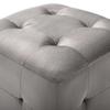 VidaXL 2 pcs Poufs Gris 30 x 30 x 30 cm Tissu velours
