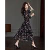 Demana Romantic Chapter V-Neck Printed Puff Sleeve A-Line Dress
