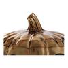 Moschino Shiny Pumpkin Metal Handbag Women handbags Gold 7A749683030614