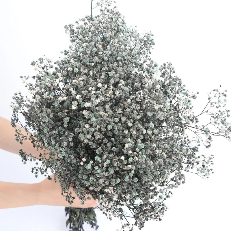 Dried Flowers Babys Breath Bouquet Ivory White Flowers Natural Gypsophila Branches for Home Decor Wedding Flowers Bulk for Vase
