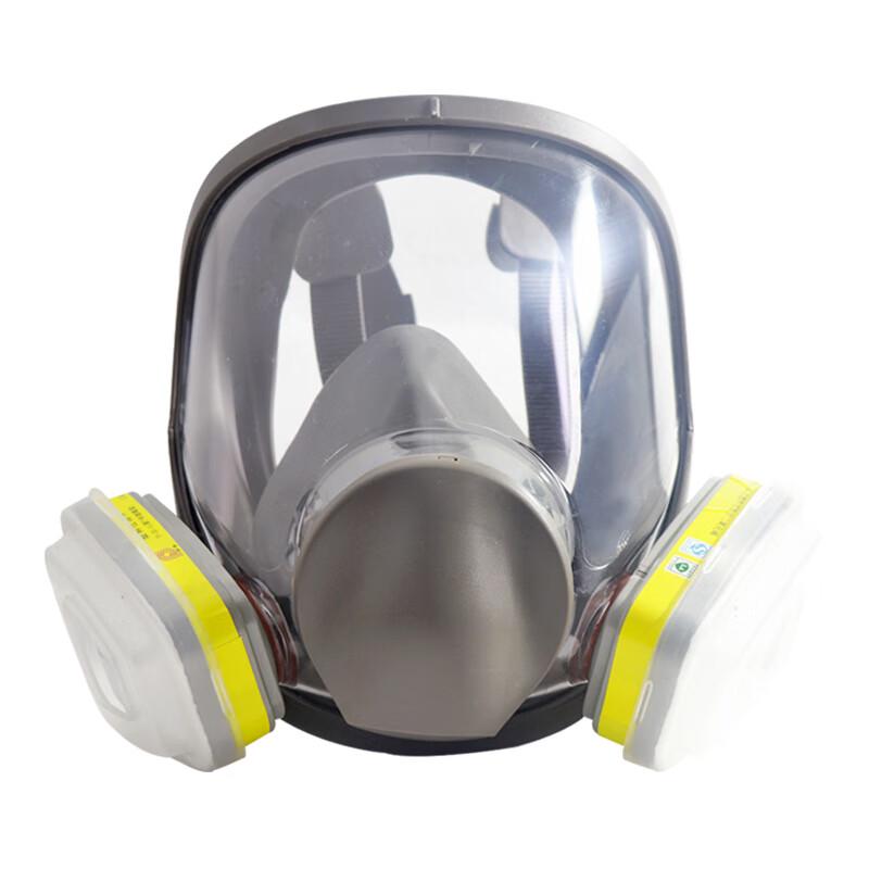 Puda Full Face Gas Mask Kit