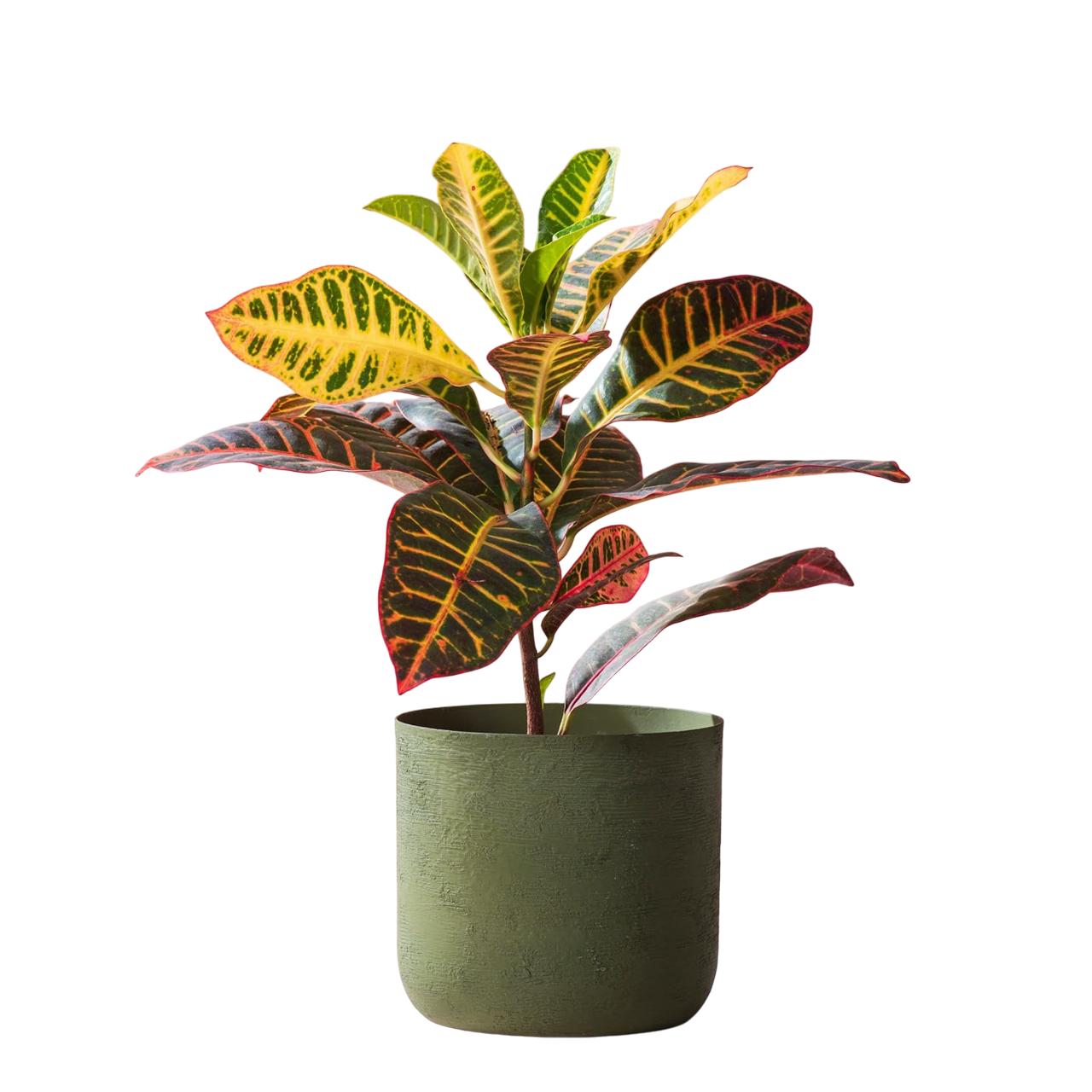 Металлическая ваза, Metallic Sage Green Metallic Vase (6,6 inch),  Nestroots