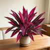 Realistic Artificial Fern And Dragon's Blood Tree Plants, 18 Branches Outdoor UV Resistant Fake Ferns for Garden, Patio, Wedding, Balcony