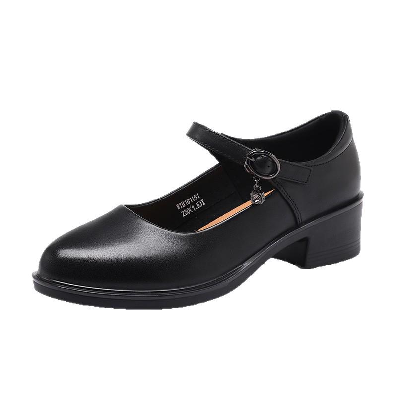 Red Dragonfly Women's Genuine Leather Mary Jane Loafers - Chunky Heel, Shallow Cut, Perfect for Spring and Autumn.