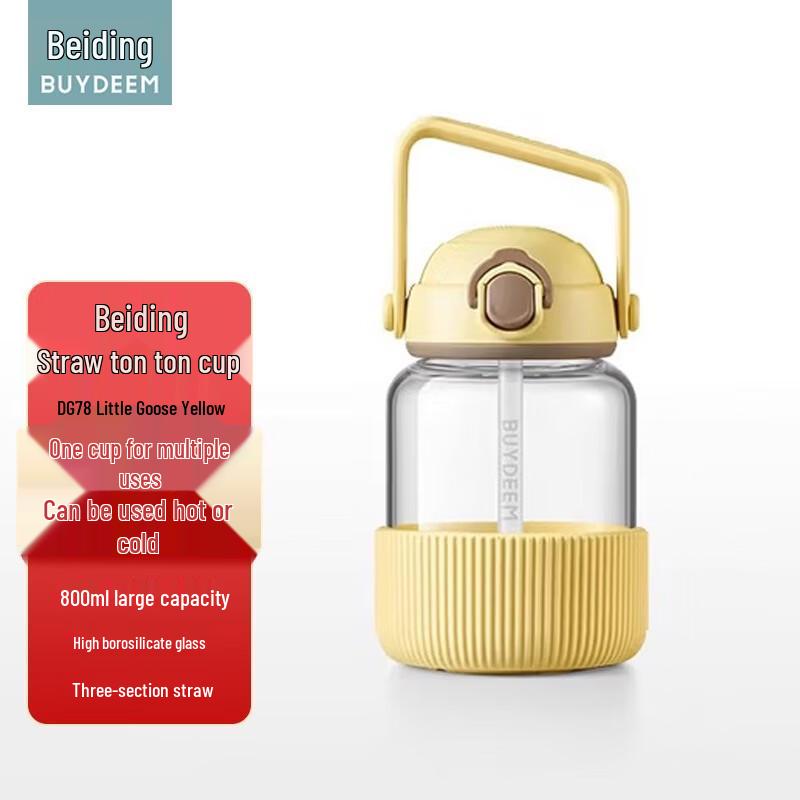 BeiDing 800ML Straw Glass Water Bottle