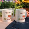tc177-Design Mug 2p-Greulmandu