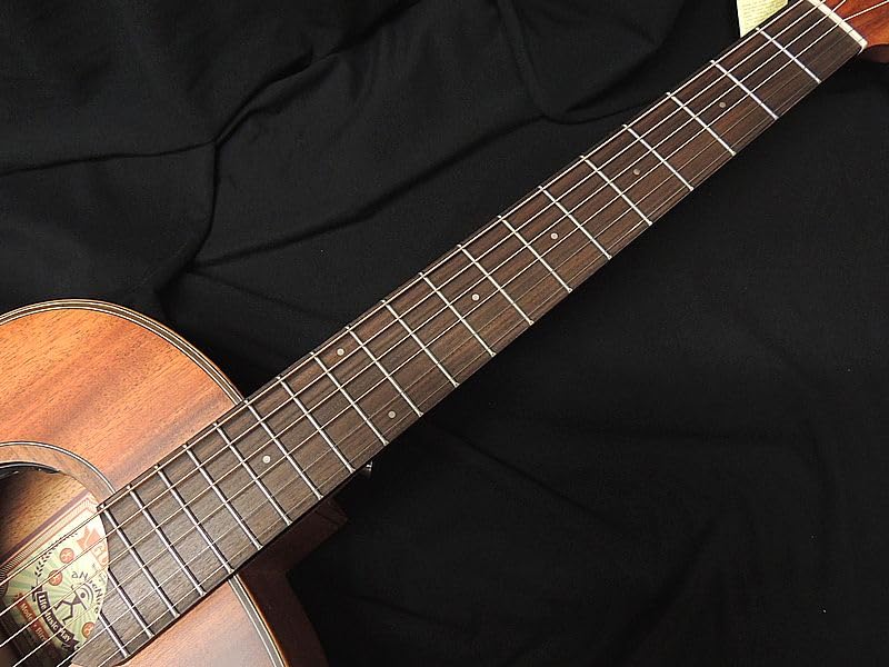 aNueNue Bird Guitar Solid Mahogany Top Mahogany single board top aNueNue acoustic guitar electric acoustic aNN-L20E