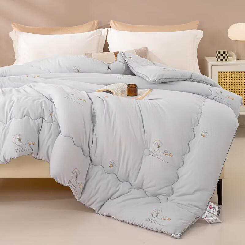Jieliya Meng Dou Dou Soy & Mulberry Silk Winter Quilt