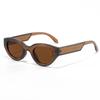Latest Classic Vintage Gradient Candy Color Sunglasses Cat Eye Trendy Brand Designer Style Travelling Eyewear UV400 Polygon for Women Men Sunglasses