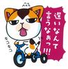 Mamemame Workshop Secret Base Mame Cat Sticker Don't Say Slow! MMC-3