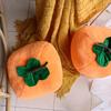 Wan Shi Da Ji Persimmon Plush Doll Cushion Ornament Photo Prop Gift