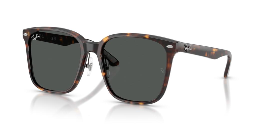Sunglasses 0RB2206D HAVANA DARK GREY Asian Fit Polarized [Ray-Ban] 710/8757