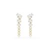 Swarovski Gold Tone Drop Earrings 5747936