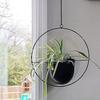 Hanging Plant Flower Hanging Hanging Hanging Ornamental Hanging Flower Plant Pots Pots, Pots, Planters, Pots, Planters, Plants, Planters, Indoor,