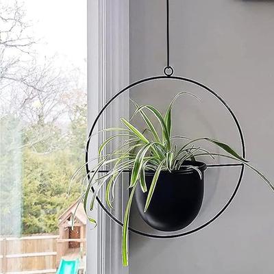 Hanging Plant Flower Hanging Hanging Hanging Ornamental Hanging Flower Plant Pots Pots, Pots, Planters, Pots, Planters, Plants, Planters, Indoor,