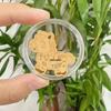Pure Gold "Princess Luck" Phone Sticker – Wealth & Treasure Gold Leaf Design for Prosperity & Fortune
