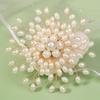 Elegant Pearls Badge Exquisite Luxury Sense Brooch Clothes Accessories Banquet Clothes Pin  Daily