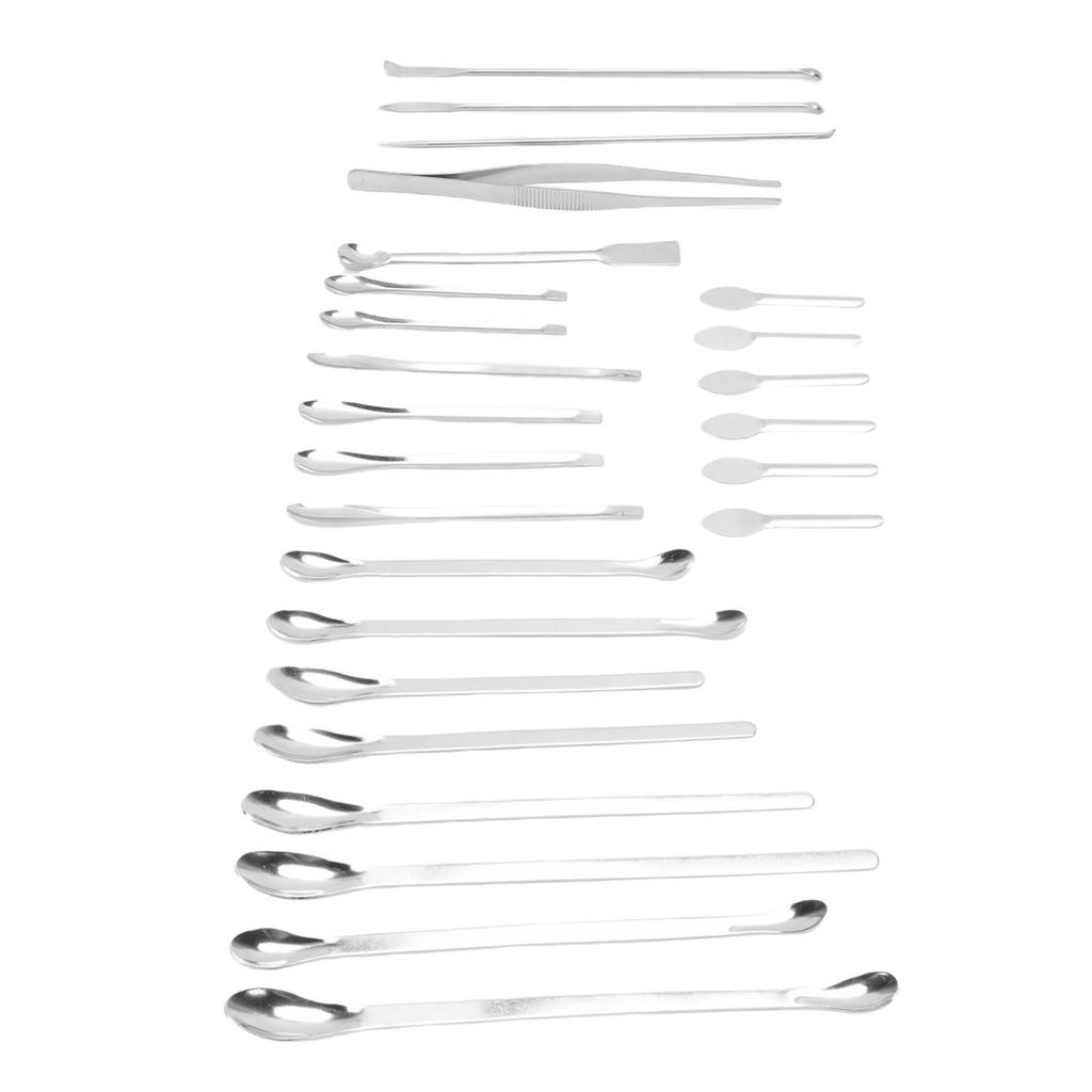 25Pcs Laboratory Spoon Spatula Tweezers Set 304 Stainless Steel Long Handle Multifunctional Laboratory Sampling Scoop