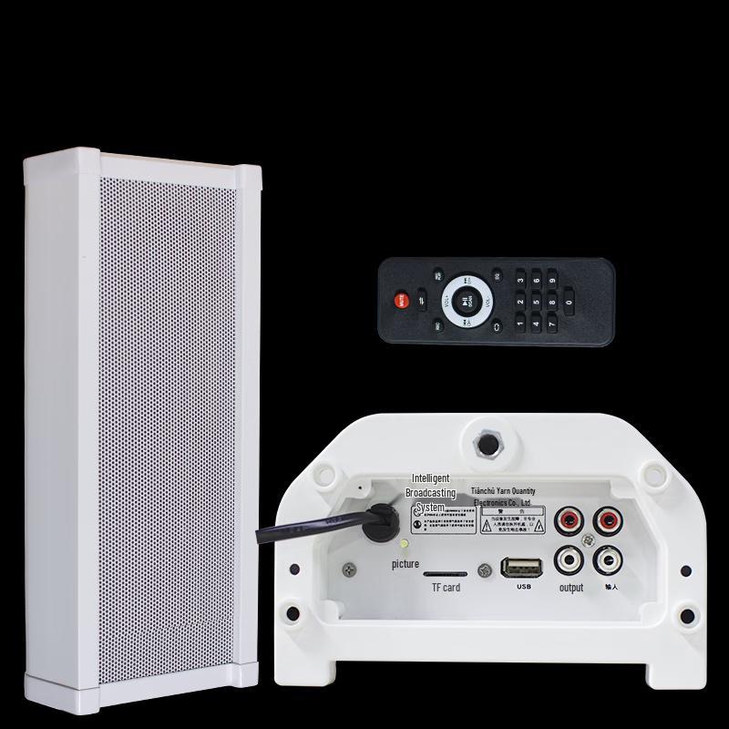 Diyou Active Induction Speaker Column with Security Alarm CN plug (adapter included)