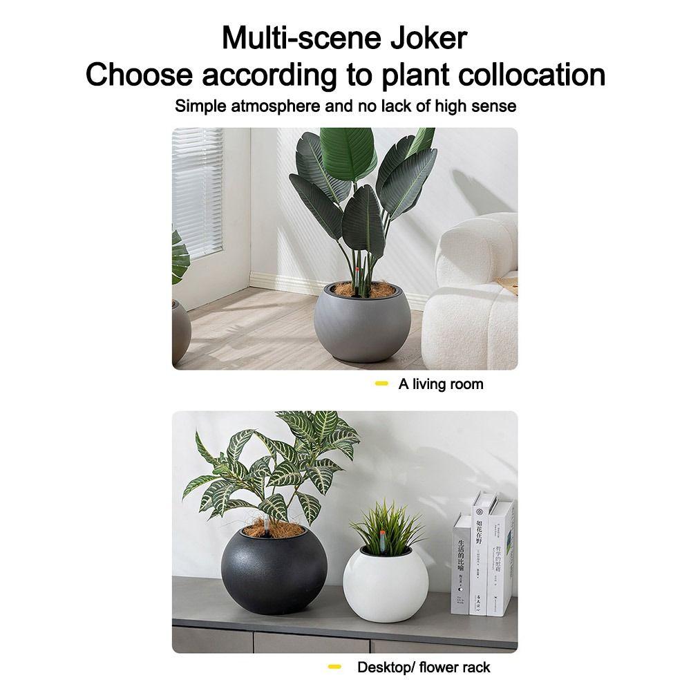 Spherical Automatic Watering Flower Pot Plastic Water Storage Flower Pot Potted Flower Pot  Garden