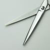 A Japanese Manufacturer of Professional Offers HI Long Perfect for Hairdressers and Professional Axis, Scissors, Scissors, 7.0 Inches, Haircutters.