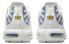 Nike Air Max Plus Ashen Slate Women's DZ3671-104