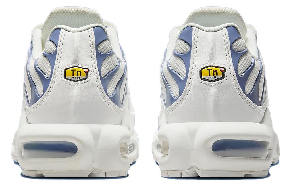 Nike Air Max Plus Ashen Slate Women's DZ3671-104