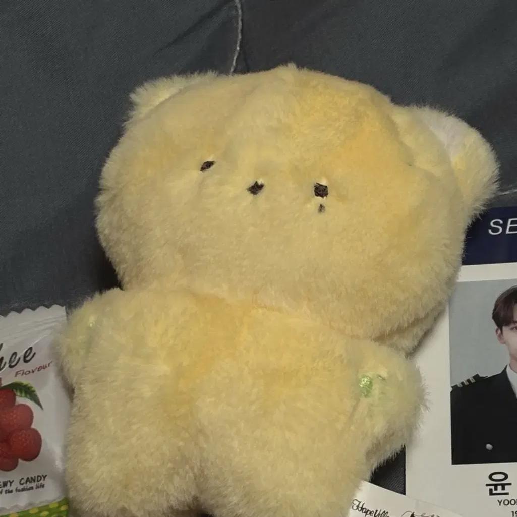 

I Sell Seungkwan Kwan Poodle Dolls!
