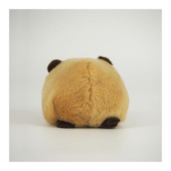 Sanei Boeki Norun Kapibara W7 x D10 x H5.5cm Stuffed Toy