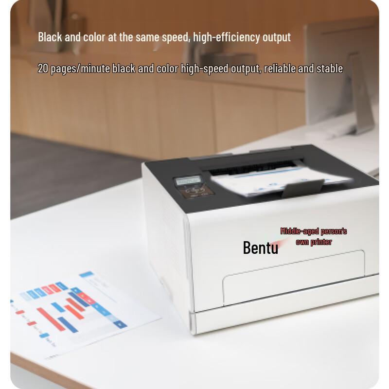 Pantum CP2165DN Color Laser MFP CN Plug (adapter Included)