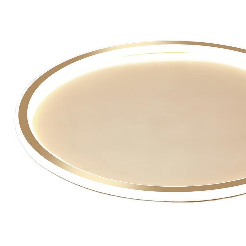Nordic Modern LED Ceiling Lamp with 3-Color Dimming